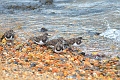 02 12 15_8844_edited-1